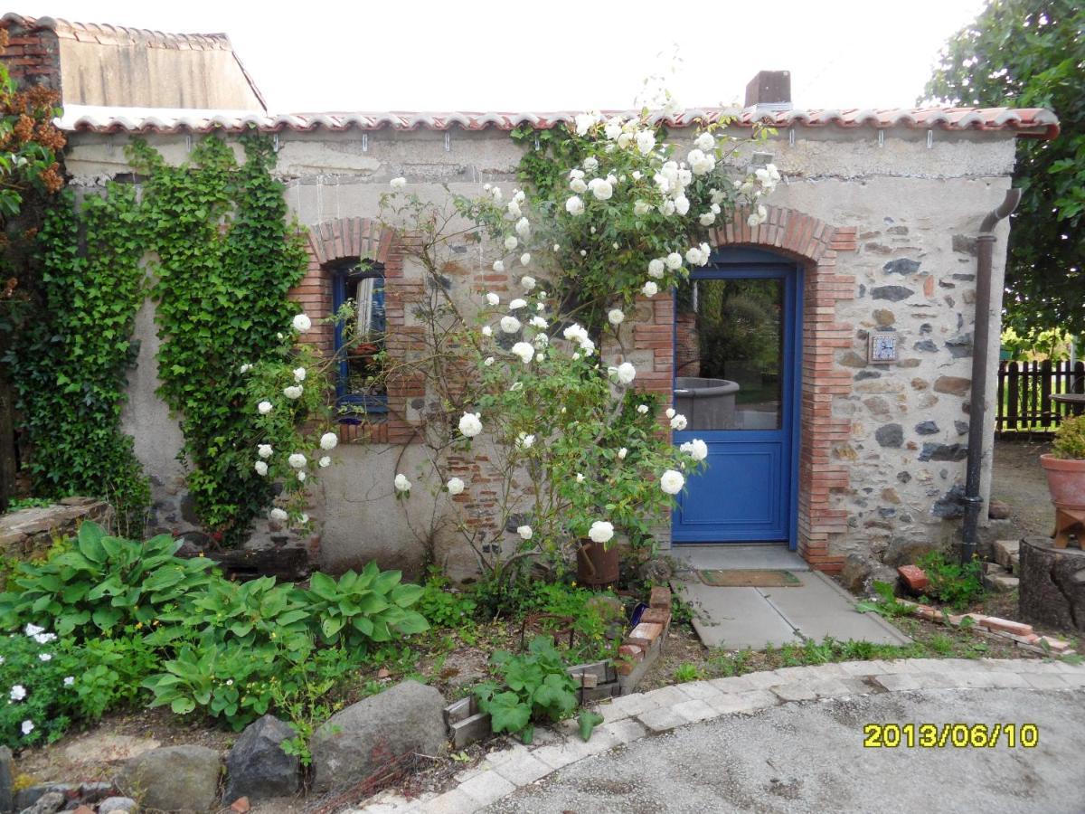 Maison De Charme A Mouzillon - Jardin Et Terrasse Accueillante Exteriör bild